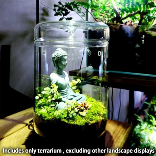 Buddha statue in a glass terrarium with plants.