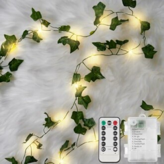 Ivy string lights with remote control on white background.