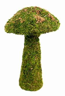 SuperMoss Small Mushroom