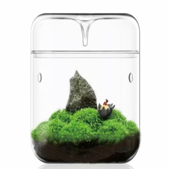 SARUFO Small Glass Plant Terrarium