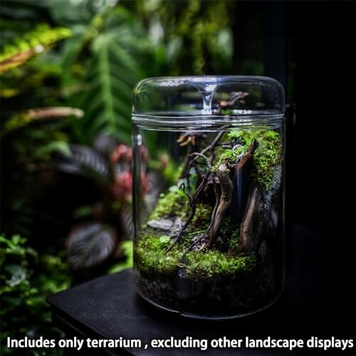 Moss terrarium inside a glass jar with branches.