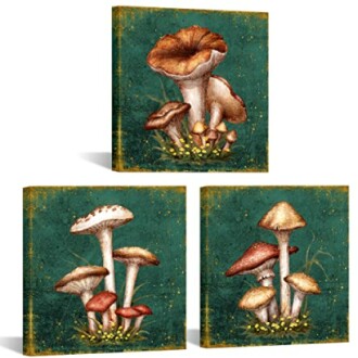 sechars Mushroom Canvas Wall Art