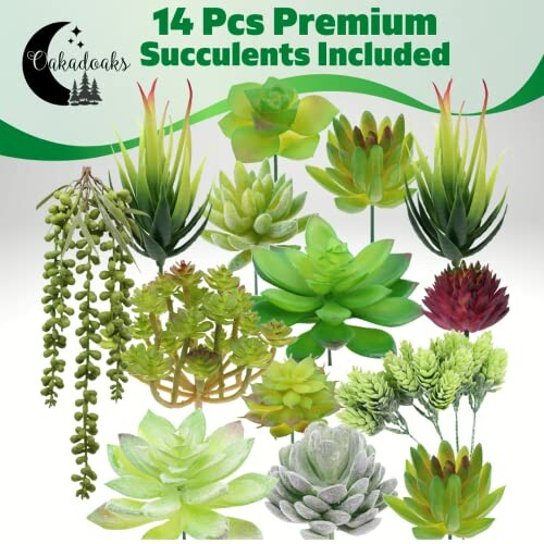 14-piece premium succulent set with various green artificial plants.