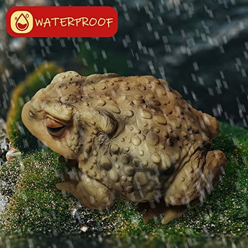 Realistic frog sculpture on a mossy surface with waterproof label.